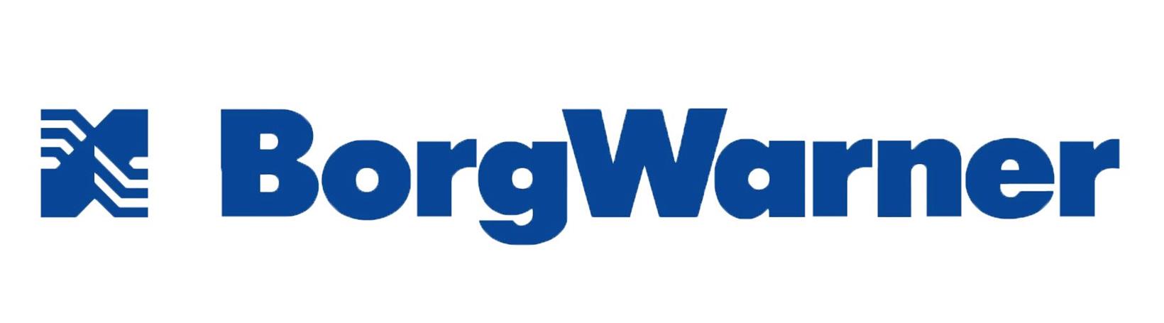 Gasgoo Awards 2022 applicant: 800V iDM from BorgWarner