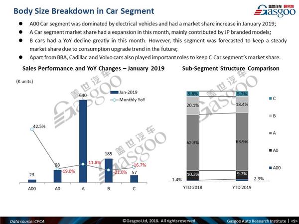 【January, 2019】China Passenger Vehicle Sales Analysis