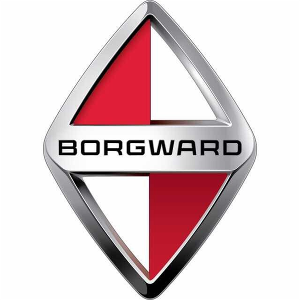 UCAR’s chairman Lu Zhengyao confirmed to chair Beijing Borgward