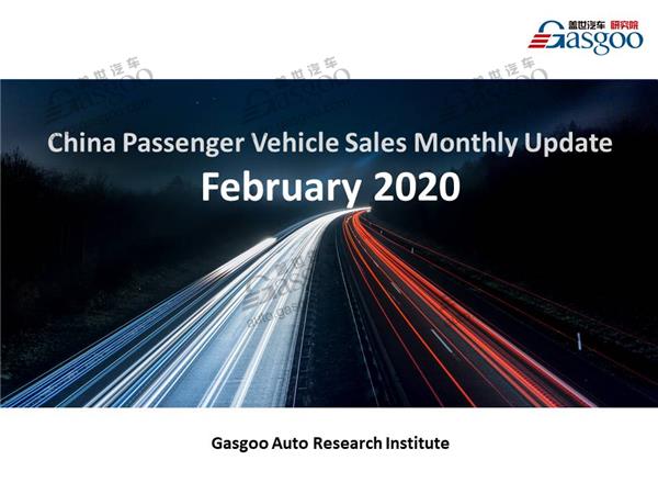 【February, 2020】China Passenger Vehicle Sales Analysis