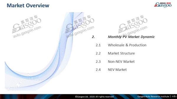 【February, 2020】China Passenger Vehicle Sales Analysis