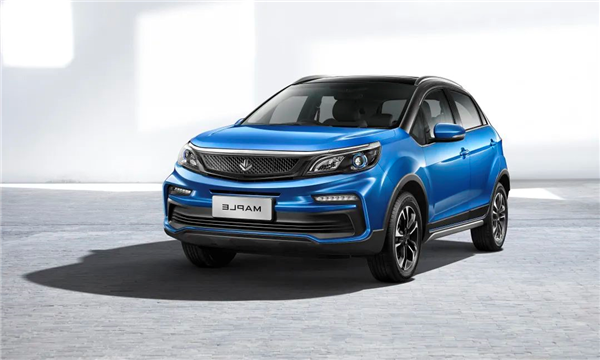 Geely-backed NEV brand Maple unveils first production model Maple 30X