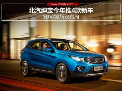 Why BAIC self-independent brands disappear in car market?