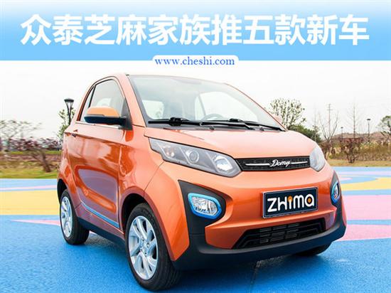 Zotye 