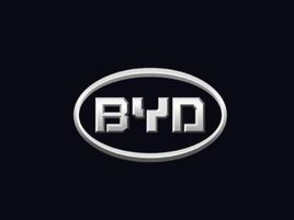 BYD: PHEV is more suitable for market than BEV currently