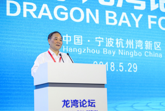 Li Shufu talks about China auto industry dilemma, stresses gap in EV area