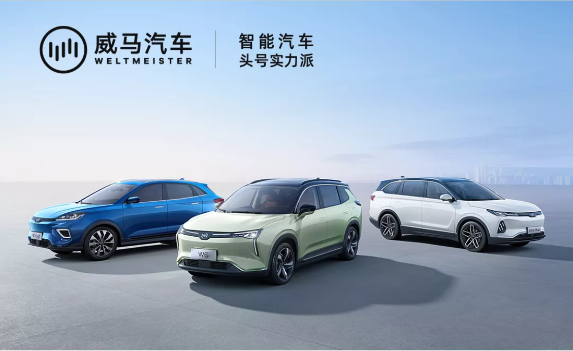 China’s EV startup WM Motor expects to raise US$500 million