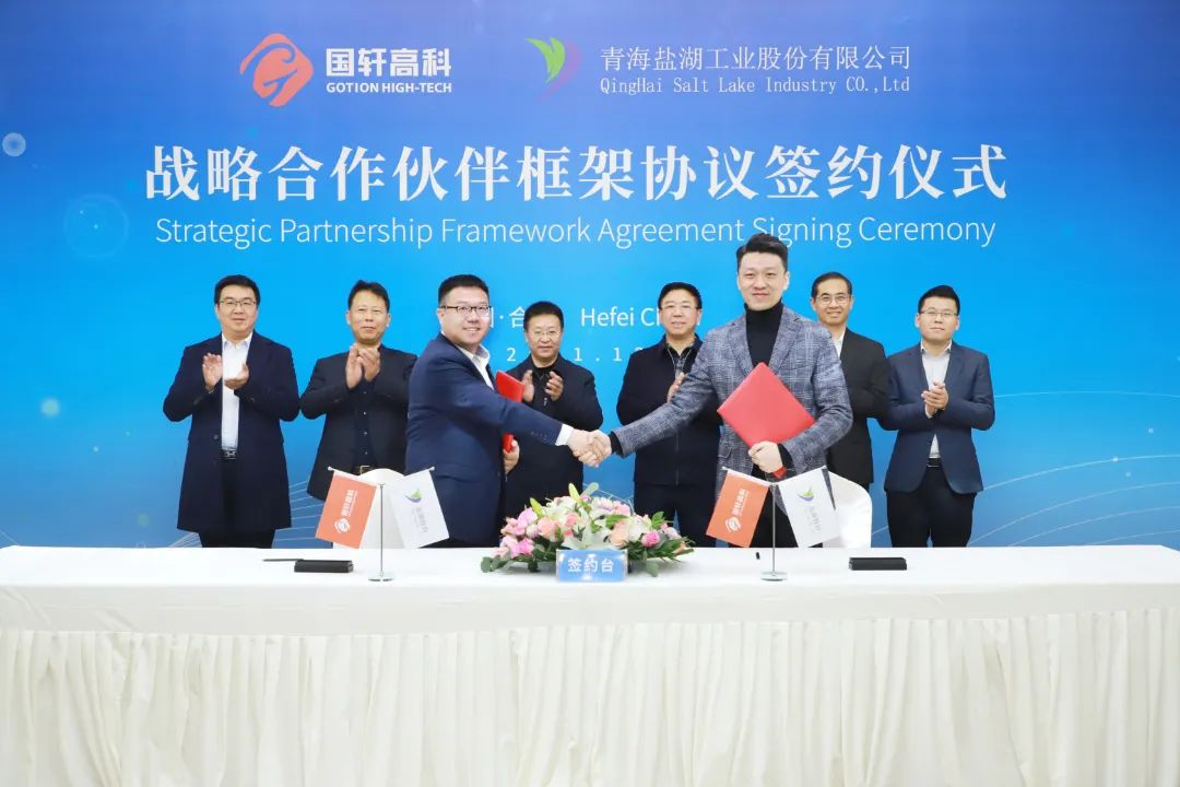 Gotion High-Tech, Qinghai Salt Lake intend to build JV for energy storage battery production