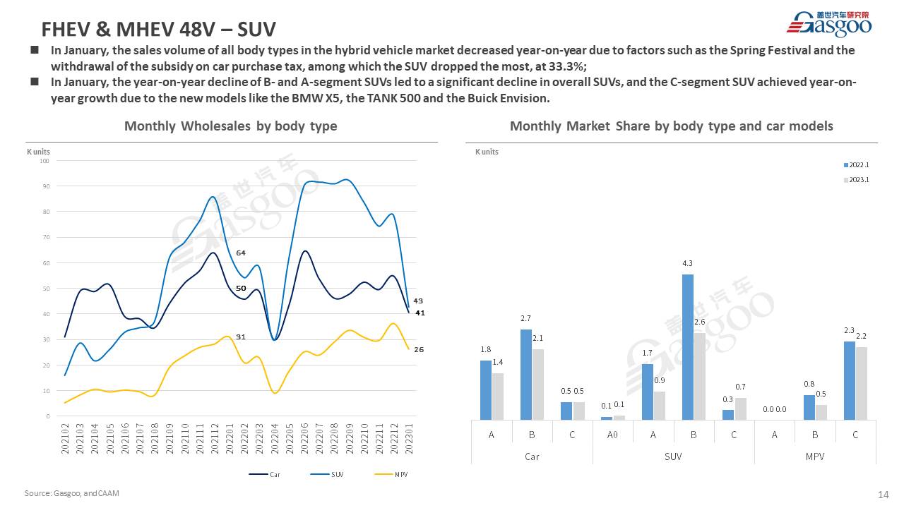 【Jan. 2023】China Passenger Vehicle Sales Analysis