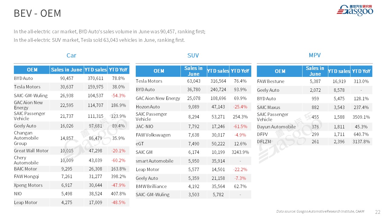 【Jun. 2023】China Passenger Vehicle Sales Analysis