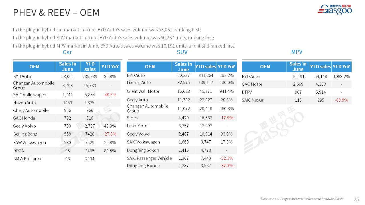 【Jun. 2023】China Passenger Vehicle Sales Analysis