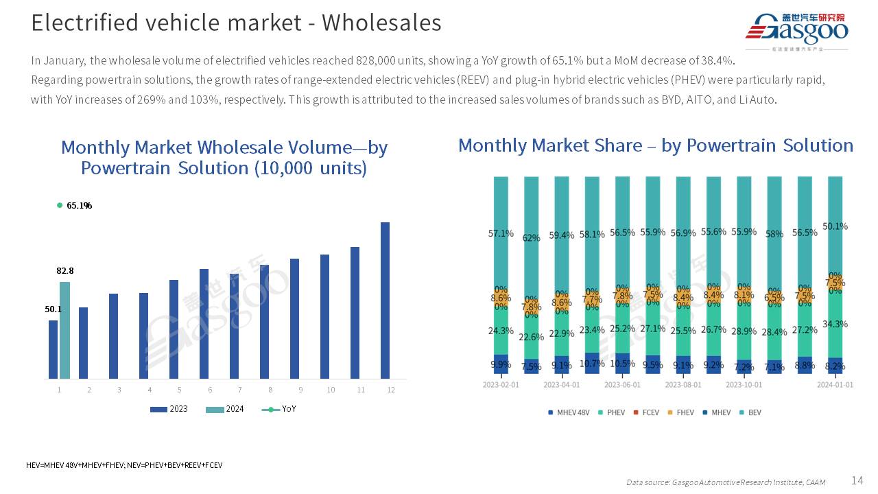 【Jan. 2024】China Passenger Vehicle Sales Analysis