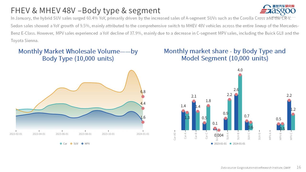 【Jan. 2024】China Passenger Vehicle Sales Analysis