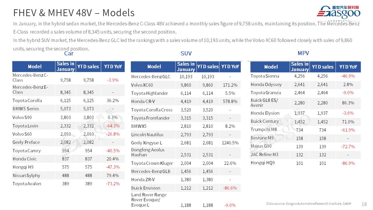 【Jan. 2024】China Passenger Vehicle Sales Analysis