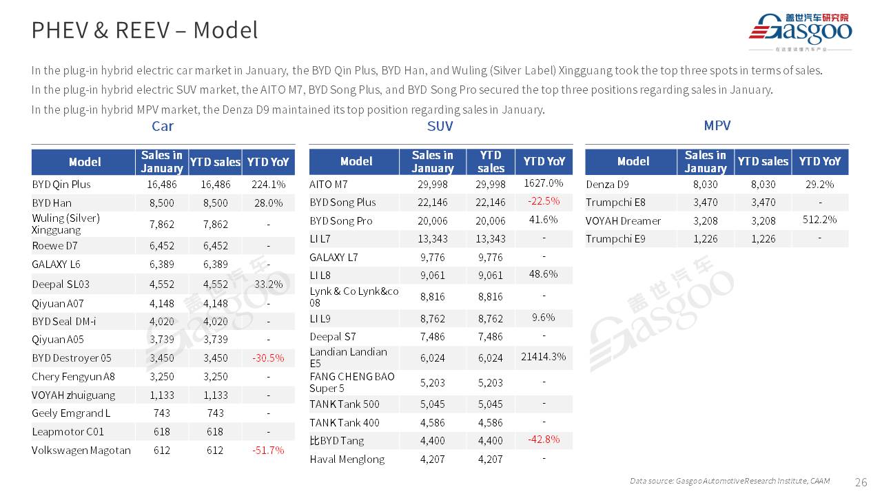 【Jan. 2024】China Passenger Vehicle Sales Analysis