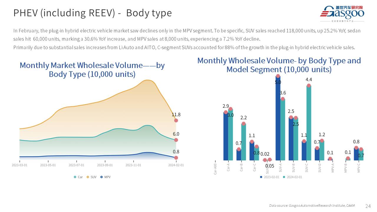 【Feb. 2024】China Passenger Vehicle Sales Analysis