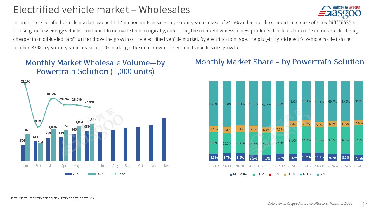 【June 2024】China Passenger Vehicle Sales Analysis