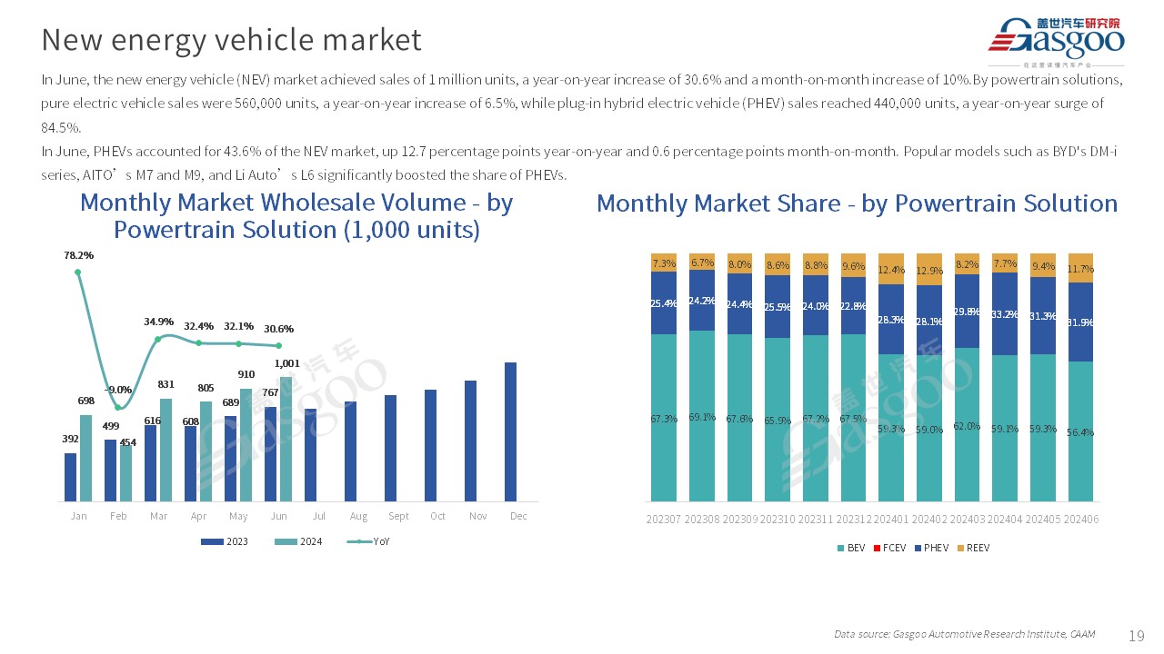 【June 2024】China Passenger Vehicle Sales Analysis