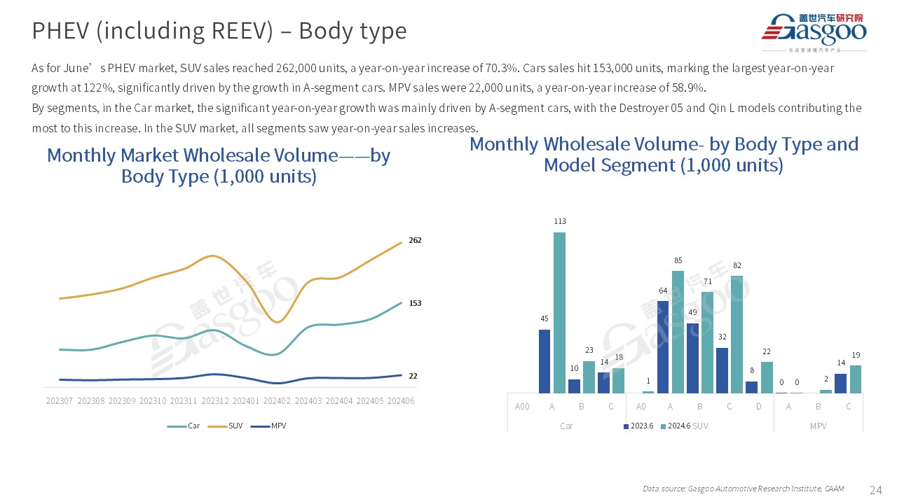 【June 2024】China Passenger Vehicle Sales Analysis