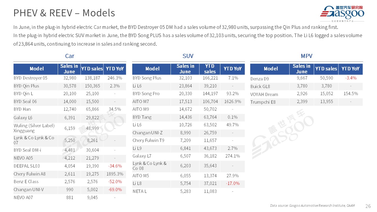 【June 2024】China Passenger Vehicle Sales Analysis