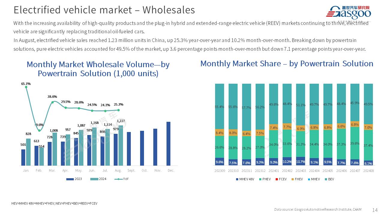 【August 2024】China Passenger Vehicle Sales Analysis