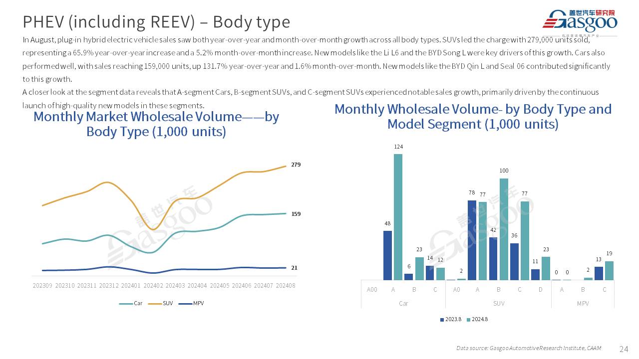 【August 2024】China Passenger Vehicle Sales Analysis
