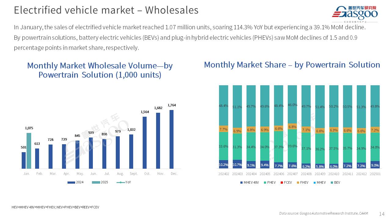 【January 2025】China Passenger Vehicle Sales Analysis