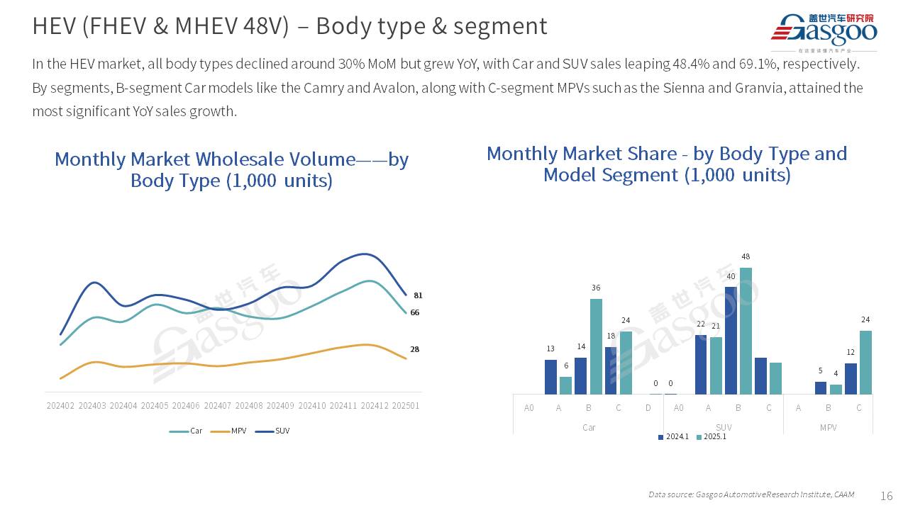 【January 2025】China Passenger Vehicle Sales Analysis