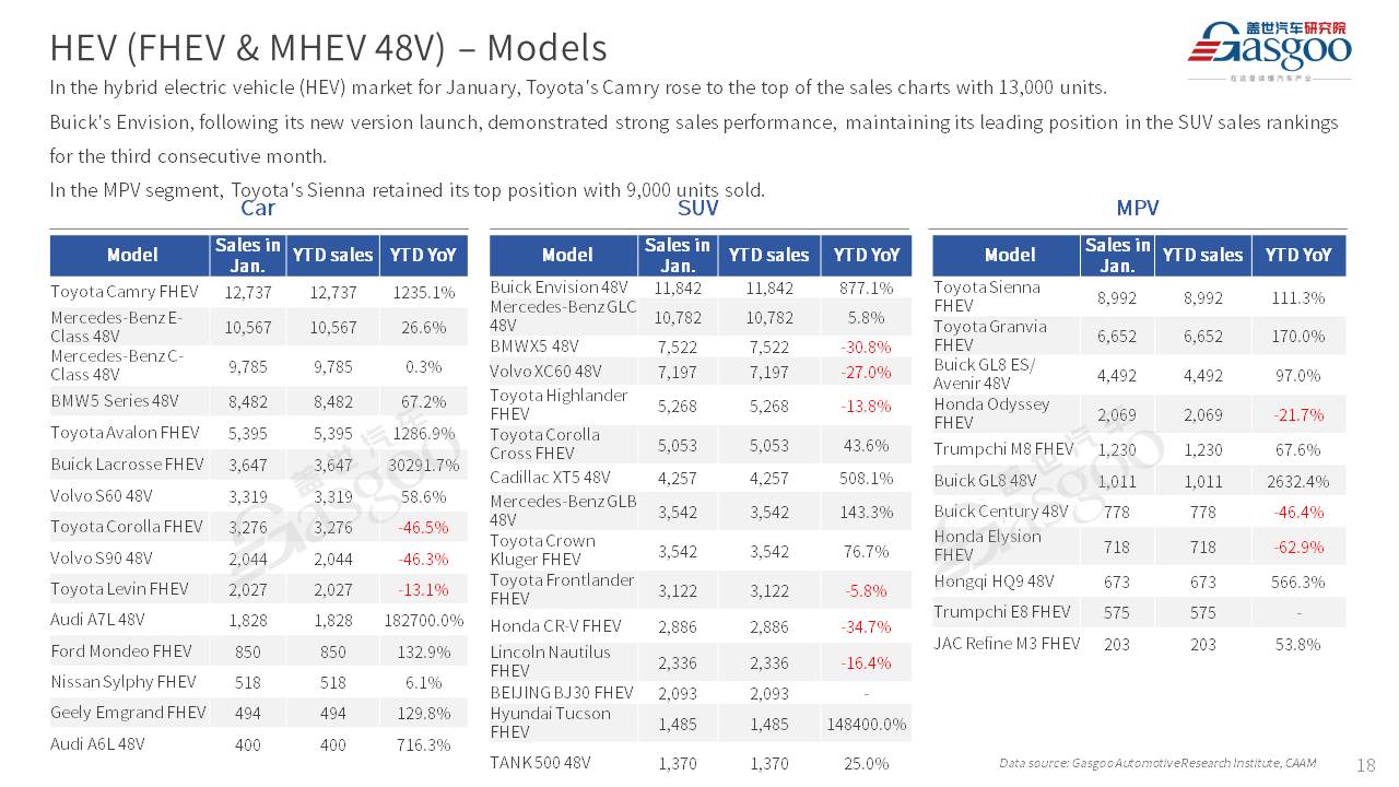 【January 2025】China Passenger Vehicle Sales Analysis