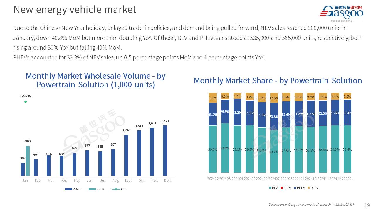 【January 2025】China Passenger Vehicle Sales Analysis