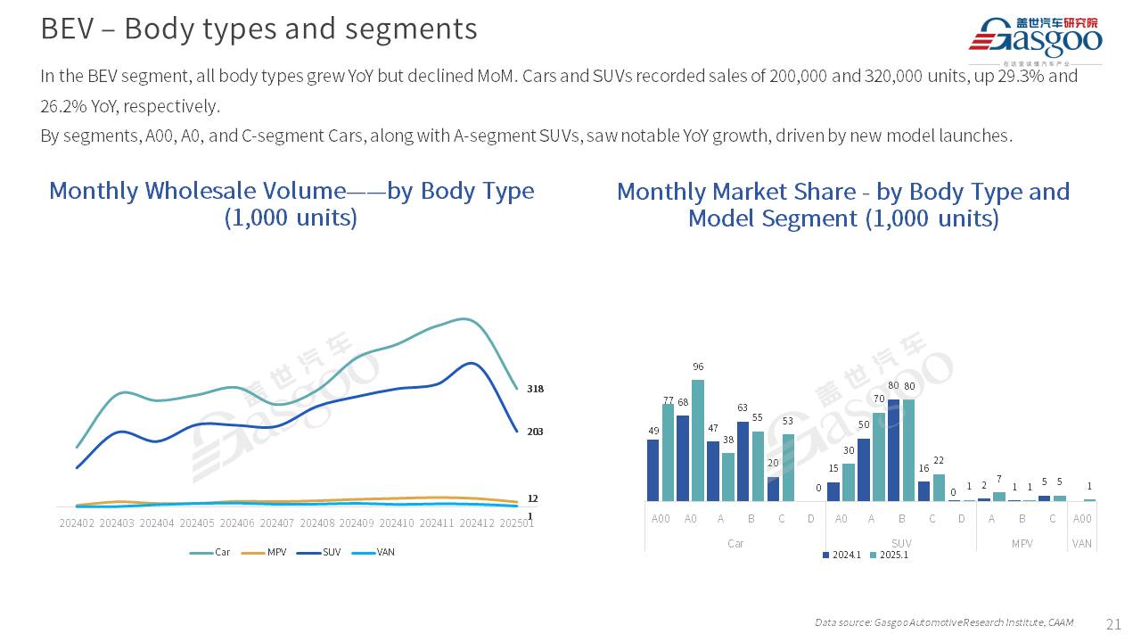 【January 2025】China Passenger Vehicle Sales Analysis