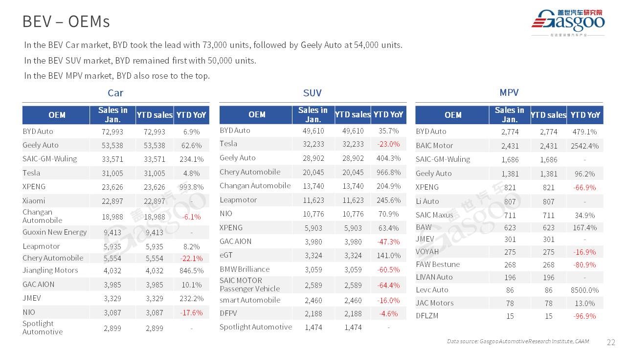 【January 2025】China Passenger Vehicle Sales Analysis