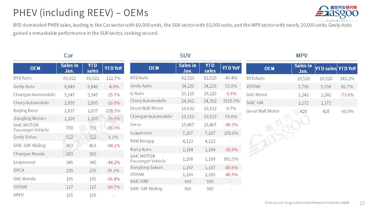 【January 2025】China Passenger Vehicle Sales Analysis