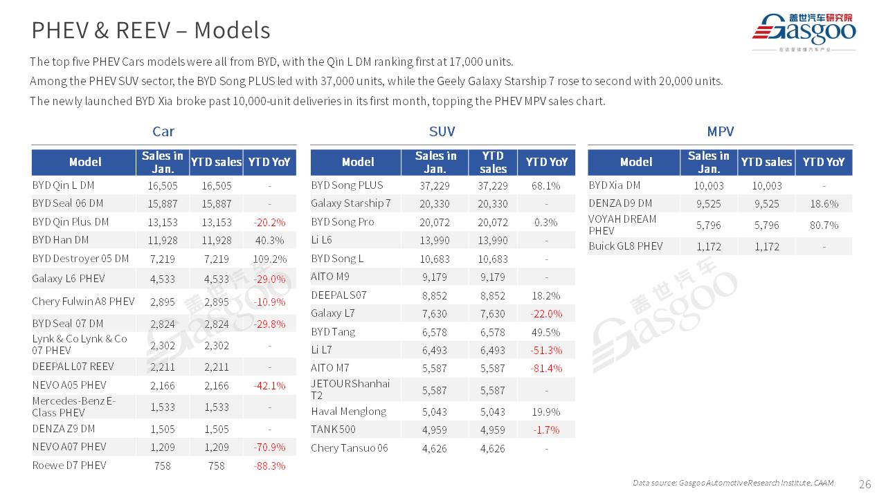 【January 2025】China Passenger Vehicle Sales Analysis