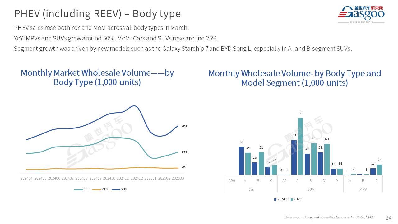 【March 2025】China Passenger Vehicle Sales Analysis