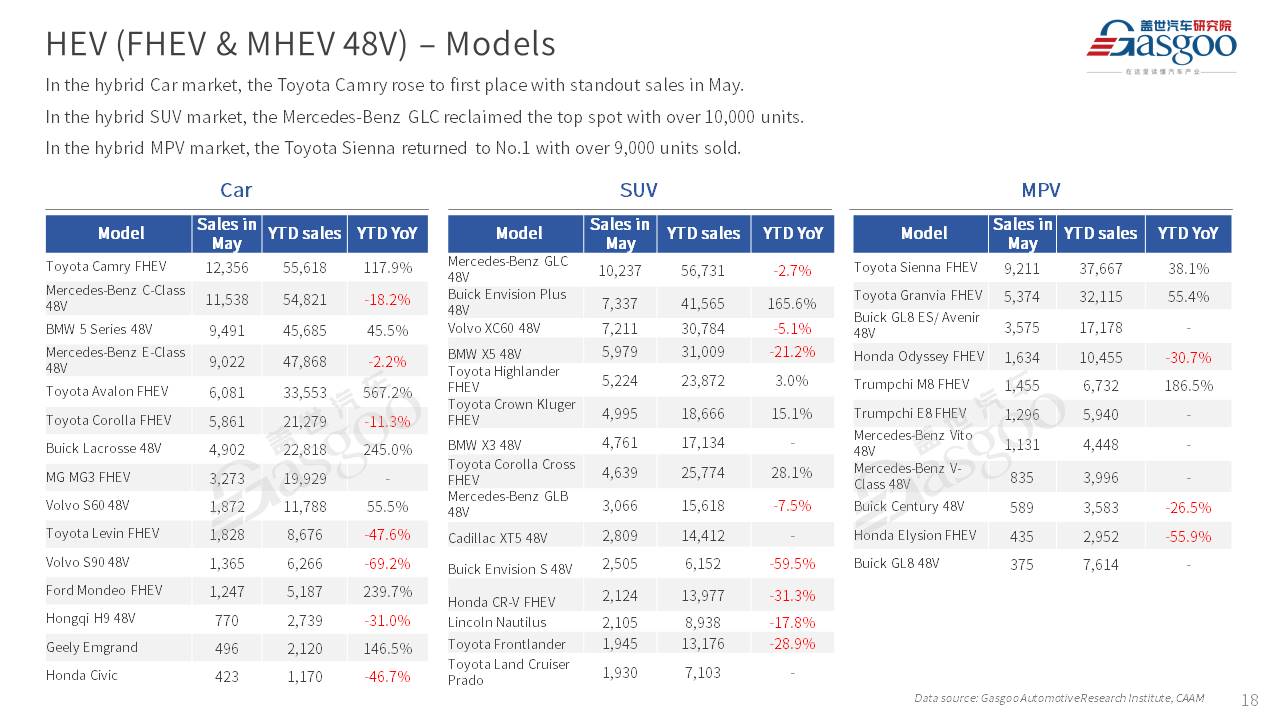【May 2025】China Passenger Vehicle Sales Analysis