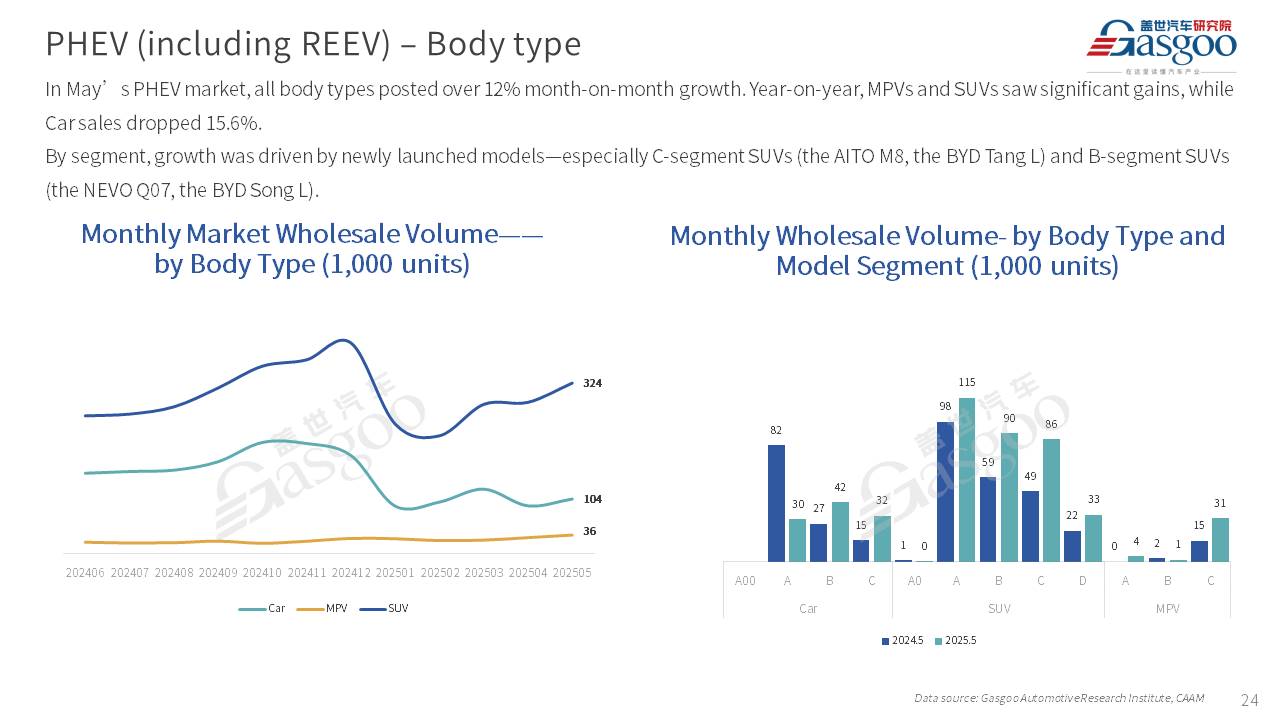 【May 2025】China Passenger Vehicle Sales Analysis