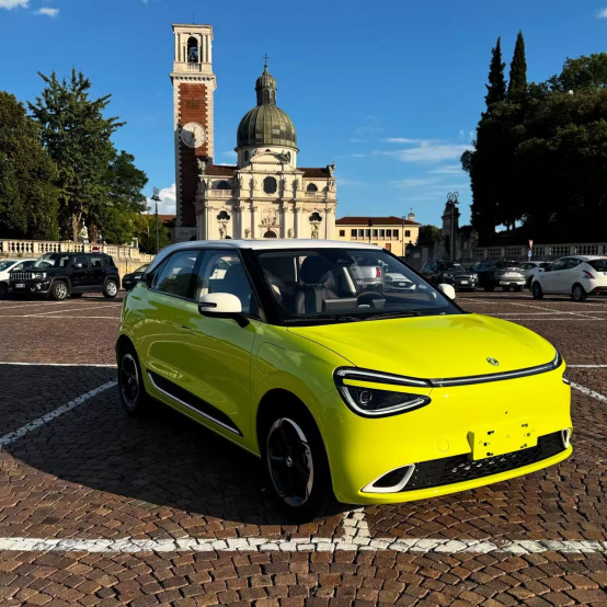 Dongfeng Motor secures major Italian order as European expansion gains momentum