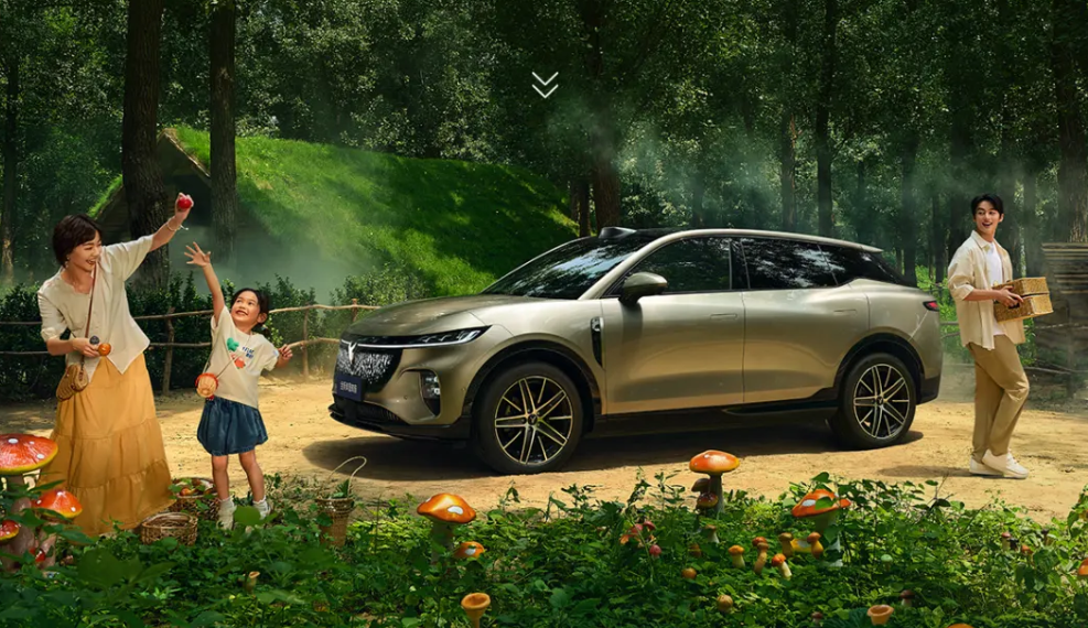 Dongfeng Motor's VOYAH kicks off pre-sales of All-new Courage model