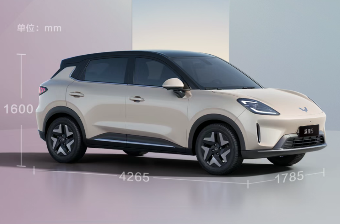 SGMW kicks off presales of Binguo S, starting at 68,800 yuan