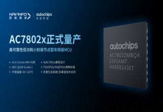 AutoChips