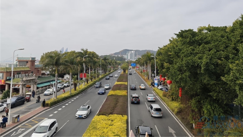  NEV projected to account for 55% of China